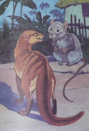    (1954 . .)