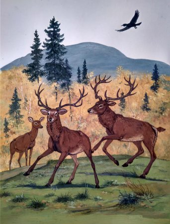    (1954 . .)